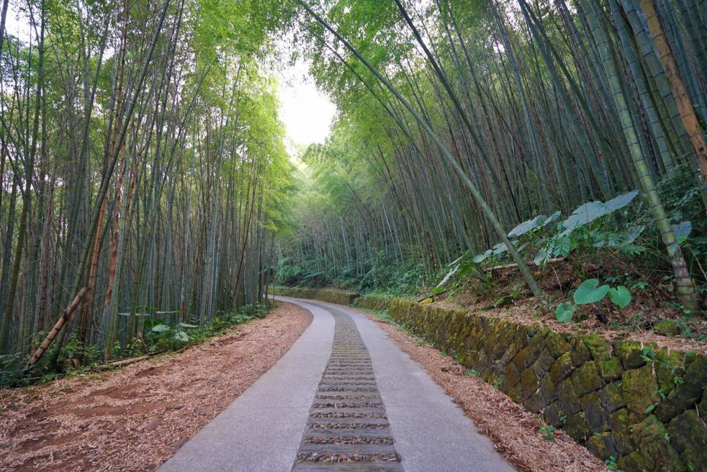 竹林步道